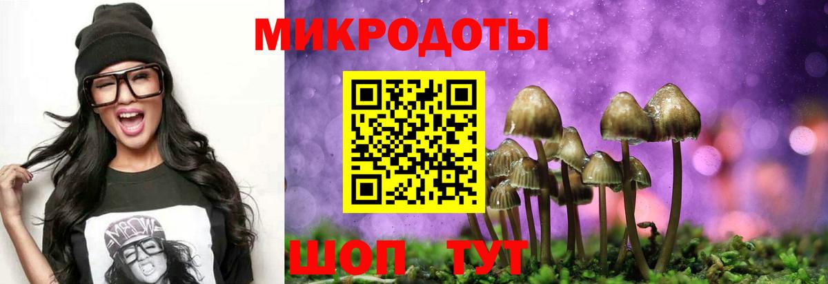 Псилоцибиновые грибы ЛСД Карасук