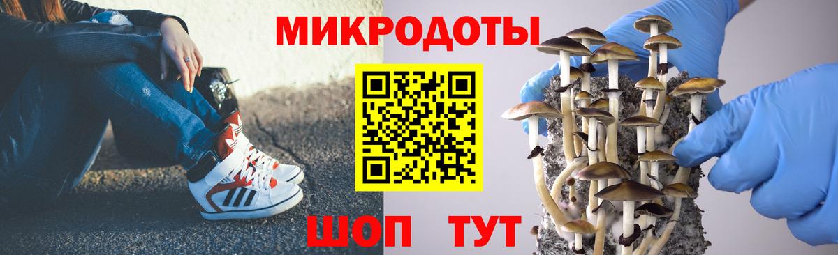 Галлюциногенные грибы GOLDEN TEACHER  Вход с VPN  Карасук  Галлюциногенные грибы MAGIC MUSHROOMS 